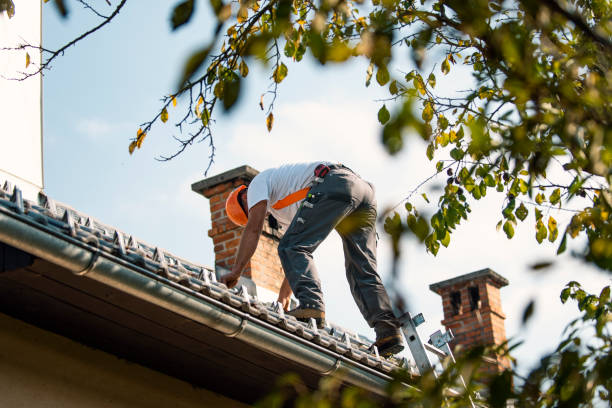 Best Flat Roof Repair Services  in Clemmons, NC